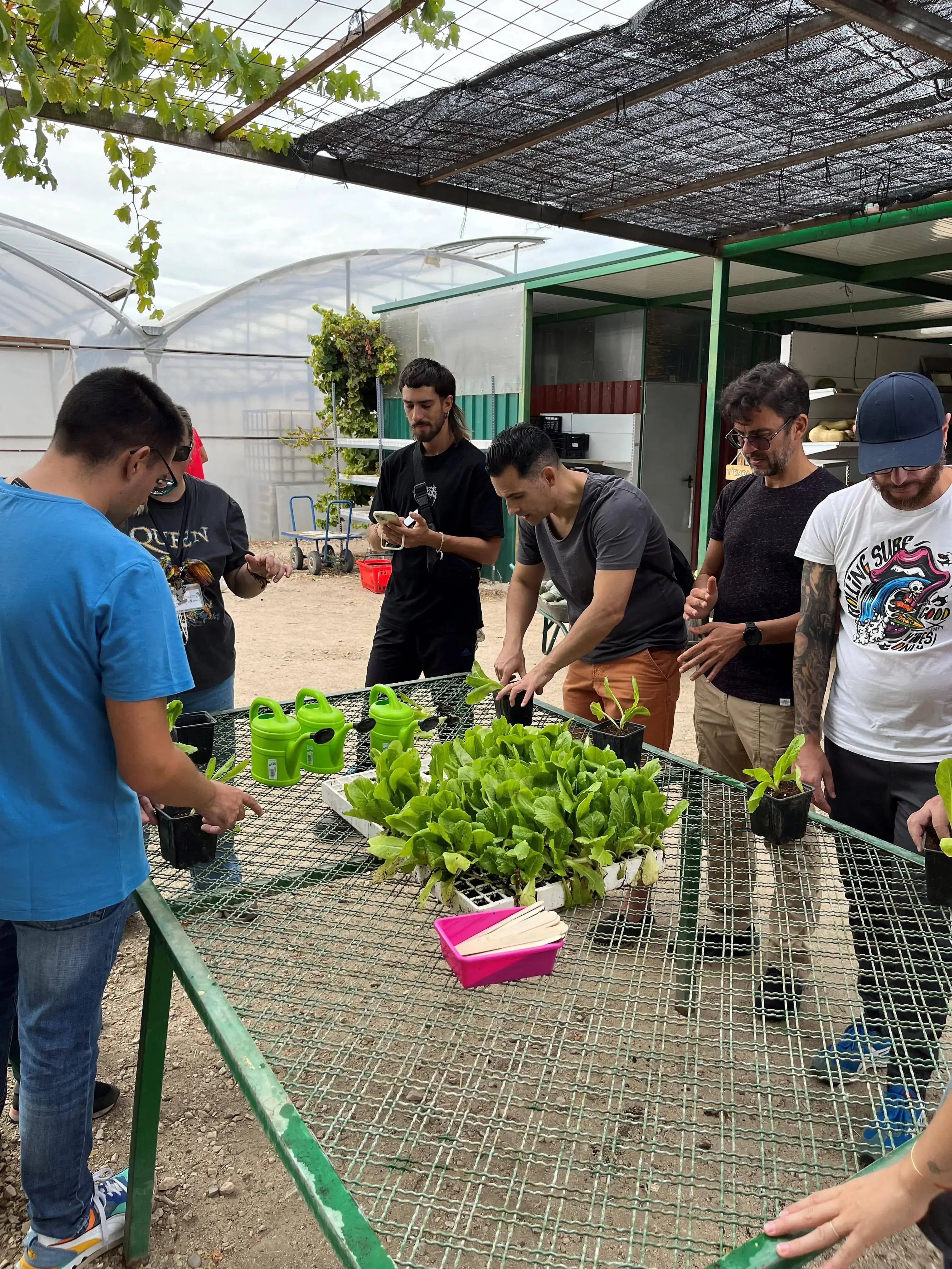 NN_SemanadeValores_1